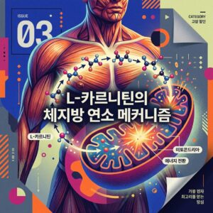 ai thumbnail poster L 카르니틴의 체지방 연소 메커니즘 1786519642