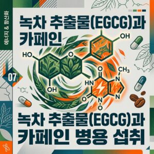 ai thumbnail poster 녹차 추출물EGCG과 카페인 병용 섭취 1786521272