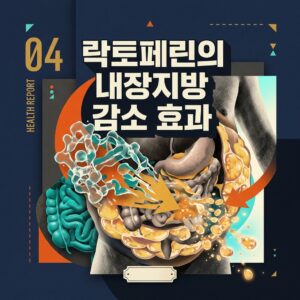 ai thumbnail poster 락토페린의 내장지방 감소 효과 1786521184