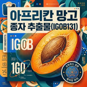 ai thumbnail poster 아프리칸 망고 종자 추출물IGOB131 1786619748