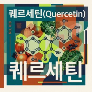 ai thumbnail poster 퀘르세틴Quercetin 1786599796